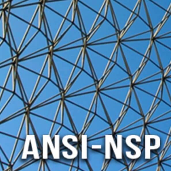 The logo for the ANSI-NSP program, featuring a blue grid background indicating nanotechnologies. 