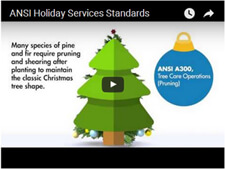 ANSI_Holiday_Services_Standards
